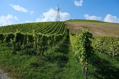 Street view of Countryside, the area around Alpine Panorama Trail, stage 29