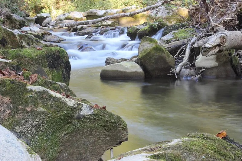 Photo of Vallon de l'Allondon
